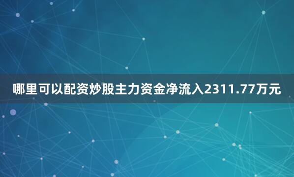哪里可以配资炒股主力资金净流入2311.77万元