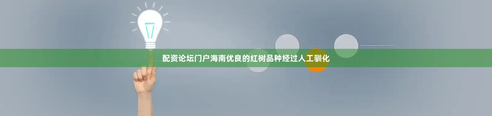 配资论坛门户海南优良的红树品种经过人工驯化